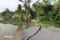 Hiện trạng khu vực sạt lở nguy hiểm ở bờ sông Ba Rày, tỉnh Tiền Giang. Ảnh: Minh Trí-TTXVN