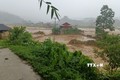Khoảng 1.000 ha lúa, cỏ chăn nuôi, ao cá tại 28 xã trên địa bàn huyện Thuận Châu bị ngập, nhiều căn nhà bị cuốn trôi, một số tuyến đường bị ngập, sạt lở. Ảnh: TTXVN phát