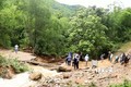 Các khu vực sạt lở do mưa lũ tại huyện miền núi Quan Hóa. Ảnh: Nguyễn Nam-TTXVN