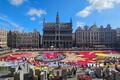 Sắc màu cuộc sống: Rực rỡ thảm hoa Brussels 2024