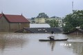 Nước sông Bùi dâng cao tràn vào xã Tân Tiến và Nam Phương Tiến, huyện Chương Mỹ (Hà Nội). Ảnh: Hoài Nam - TTXVN