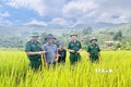 Người lính biên phòng Nguyễn Văn Bằng mang mùa vàng no ấm đến dân bản