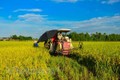 越南经济75周年发展历程：农业是支撑国民经济发展的基础产业