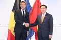 越南国会主席王廷惠会见比利时副首相