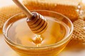美国商务部将越南蜂蜜反倾销税下调近7倍