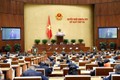 越南第十五届国会第三次会议：朝着公平优质高效方向提升民众健康服务质量