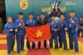 第6届越武道世界锦标赛吸引15个国家的近500名武师和选手参赛