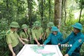 越南批准 2021-2025 年林业可持续发展计划