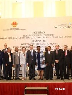 提升越南与非洲国家的经济合作效益