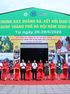Hà Nội tổ chức hội chợ trưng bày, quảng bá và kết nối giao thương sản phẩm OCOP