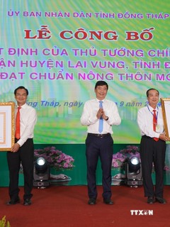 “Thủ phủ” quýt hồng của Đồng Tháp đạt chuẩn huyện nông thôn mới