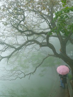 Hồ Gươm như một bức tranh trong sương