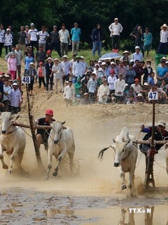 Không phân biệt cao – thấp với di sản văn hóa phi vật thể