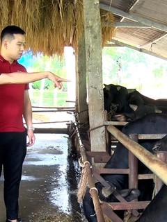 Hiệu quả vốn tín dụng phát triển nông nghiệp nông thôn tại huyện Yên Sơn