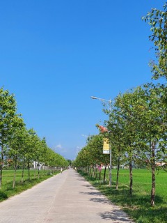 Tuyến đường nông thôn mới xanh sạch đẹp ở xã Diễn Yên, huyện Diễn Châu (Nghệ An). Nguồn ảnh minh họa: dbndnghean.vn
