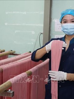 Doanh nhân Đặng Thị Tâm đưa thương hiệu mì rau củ Organic vươn xa