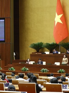 Thống đốc Ngân hàng Nhà nước Nguyễn Thị Hồng giải trình, làm rõ một số vấn đề đại biểu Quốc hội nêu. Ảnh: Doãn Tấn - TTXVN