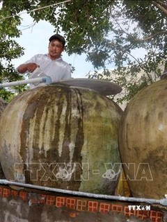 Tranh thủ vào mùa mưa, người dân sinh sống ven biển An Biên tận dụng lu để chứa nước sử dụng. Ảnh: Lê Sen - TTXVN