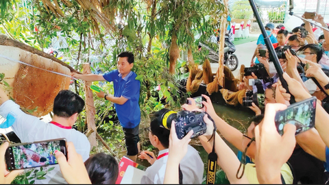 2022年4月29日，越南纪录组织（Vietkings）确认“越南最大蜂巢”的纪录，尺寸为2.2米×1米，重量为43公斤，采集到的蜂蜜和花粉约15公升和2公斤。