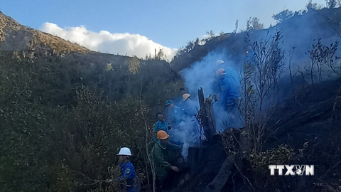 Khẩn trương xử lý dứt điểm vụ cháy rừng tại Vườn Quốc gia Hoàng Liên