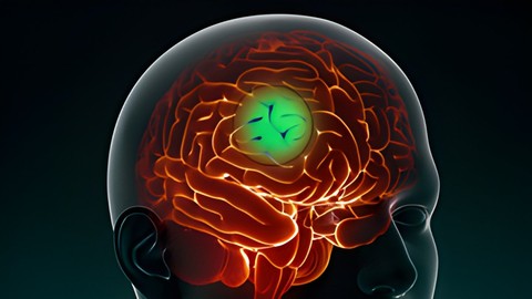 Công cụ ứng dụng trí tuệ nhân tạo giúp phân loại khối u não chỉ trong vài giờ