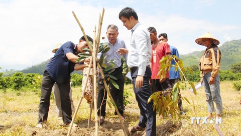 Kết nghĩa buôn làng, thắm tình đoàn kết ở Đắk Lắk