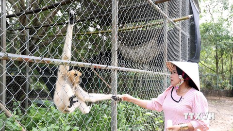 Néang Ma La-Người phụ nữ Khmer nặng lòng với các loài động vật hoang dã