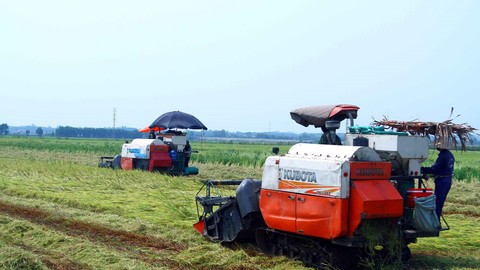 Trần Duy Khánh tạo bước đột phá mới trong sản xuất lúa