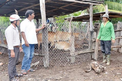 Thay đổi tập quán chăn nuôi lạc hậu nhằm giảm ô nhiễm môi trường ở Gia Lai