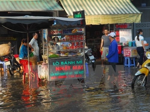 TP Hồ Chí Minh đề xuất đầu tư gần 10.000 tỷ đồng chống ngập