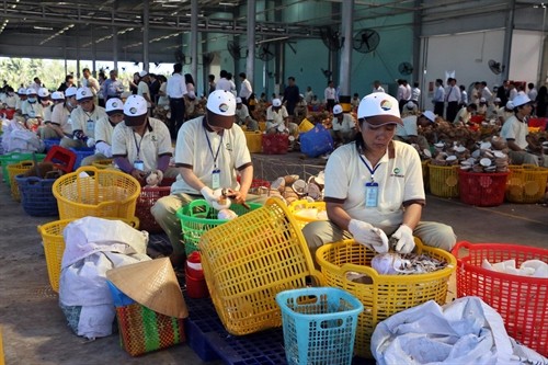 Khánh thành nhà máy chế biến sữa dừa, nước dừa đóng hộp lớn nhất Việt Nam 