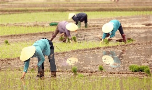 Canada hỗ trợ Việt Nam 13 triệu USD phát triển nông nghiệp