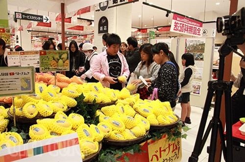 Xoài Việt Nam chính thức vào thị trường Nhật Bản