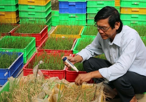 Tiến sĩ Trần Tấn Phương-Người góp phần chọn tạo nhiều giống lúa đặc sản Sóc Trăng