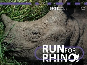 Phát động giải chạy Sông Hồng để "cứu" tê giác khỏi bị tuyệt chủng