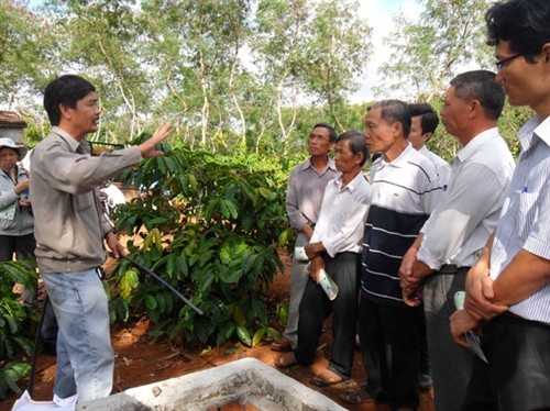 Ứng dụng công nghệ cao "chìa khóa" để ngành cà phê Đắk Lắk phát triển bền vững
