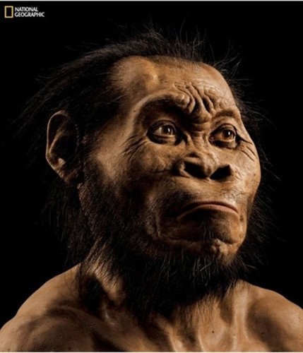 Phát hiện tổ tiên mới của loài người ở châu Phi