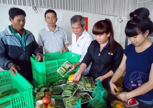 Lâm Đồng: Kinh tế hợp tác tạo giá trị gia tăng cho kinh tế hộ gia đình