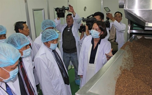 Khánh thành nhà máy sản xuất đông dược đầu tiên tại Tây Nguyên