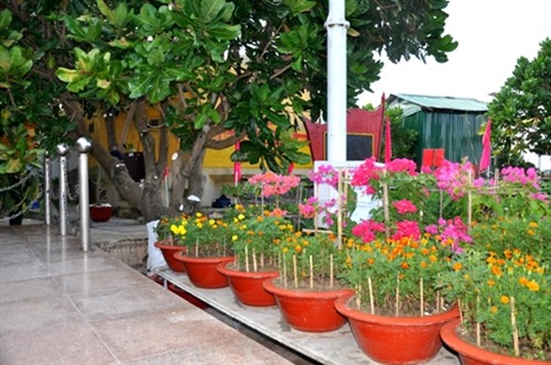 Đảo Sơn Ca có “Vườn hoa Đại tướng”
