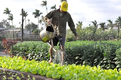 Nghị định 55 - "cú hích" cho tín dụng nông nghiệp, nông thôn