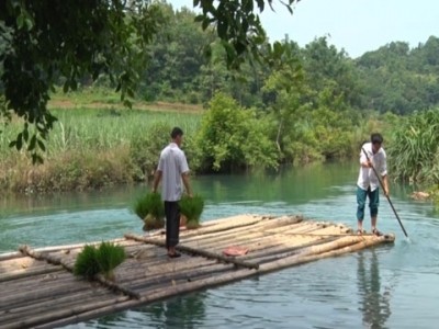Người dân Bản Chang ước mơ một cây cầu