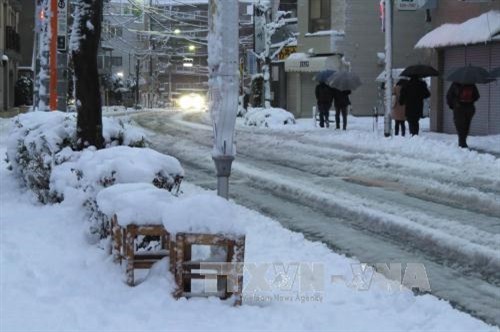 Nhật Bản: Tuyết rơi dày khiến hơn 70 người bị thương