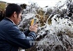 Lai Châu: Xuất hiện băng dày hơn 1 cm phủ kín mặt quốc lộ 4D