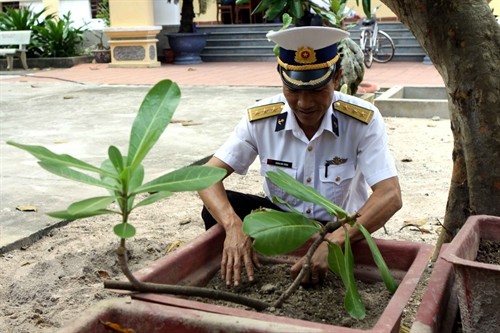 Trường Sa Đông – sức sống mãnh liệt giữa trùng khơi