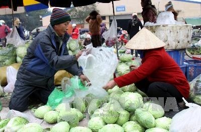 Rét hại, giá rau xanh ở Hà Nội tăng 30-40%