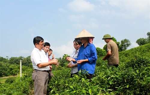 Điều chỉnh quy hoạch tổng thể phát triển kinh tế - xã hội tỉnh Tuyên Quang