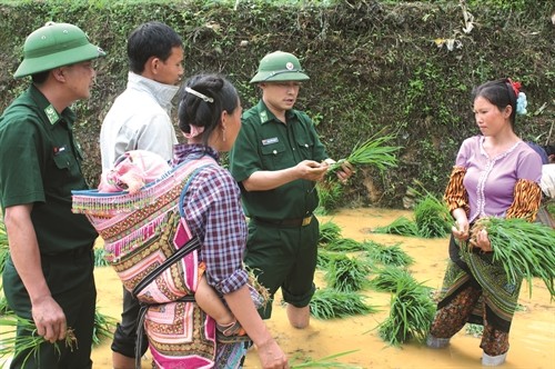 Bộ đội biên phòng Lào Cai giúp dân xóa đói, giảm nghèo