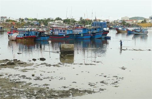 Khánh Hòa cần nâng cấp khu neo đậu tránh trú bão cho tàu cá