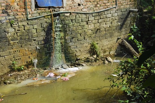 Điện Biên: Cần ngăn chặn tình trạng vứt xác động vật xuống suối